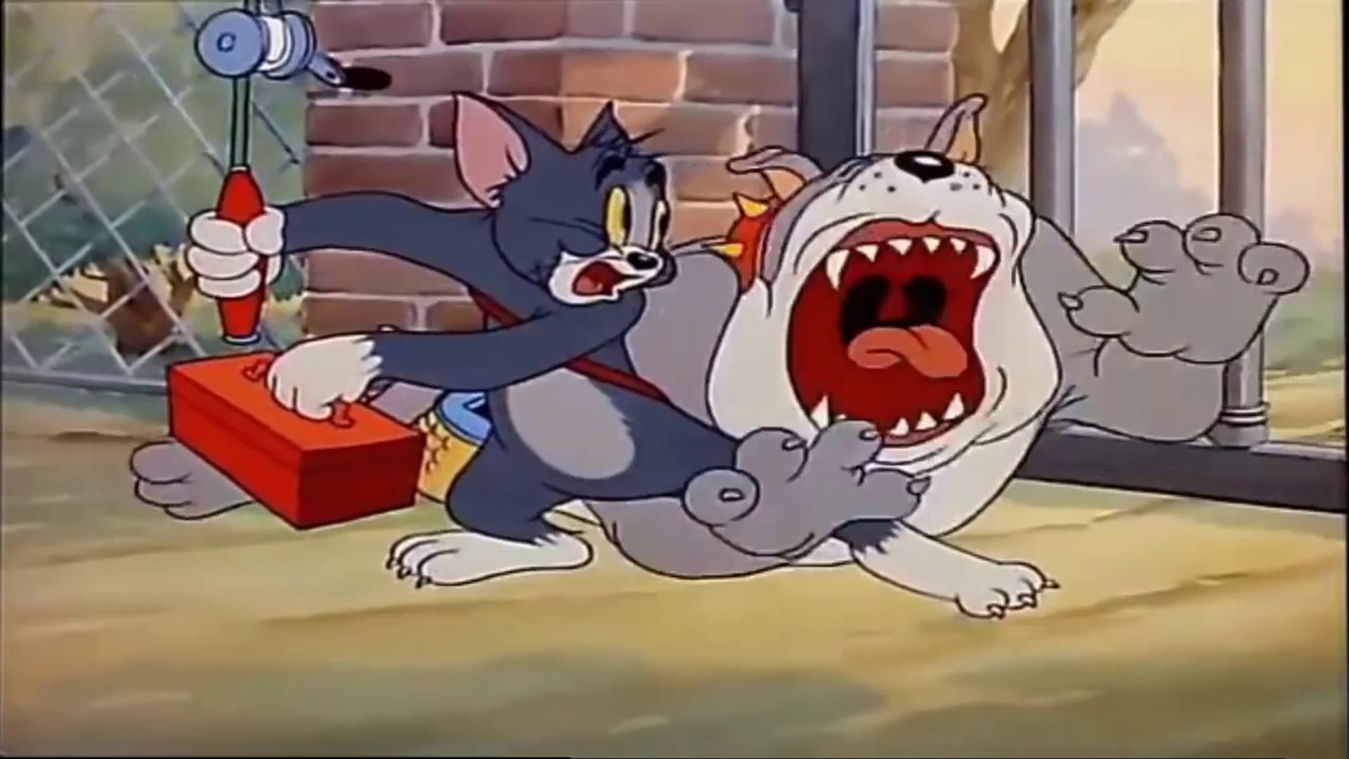 Tom & Jerry Cat Fishin - HD Wallpaper 