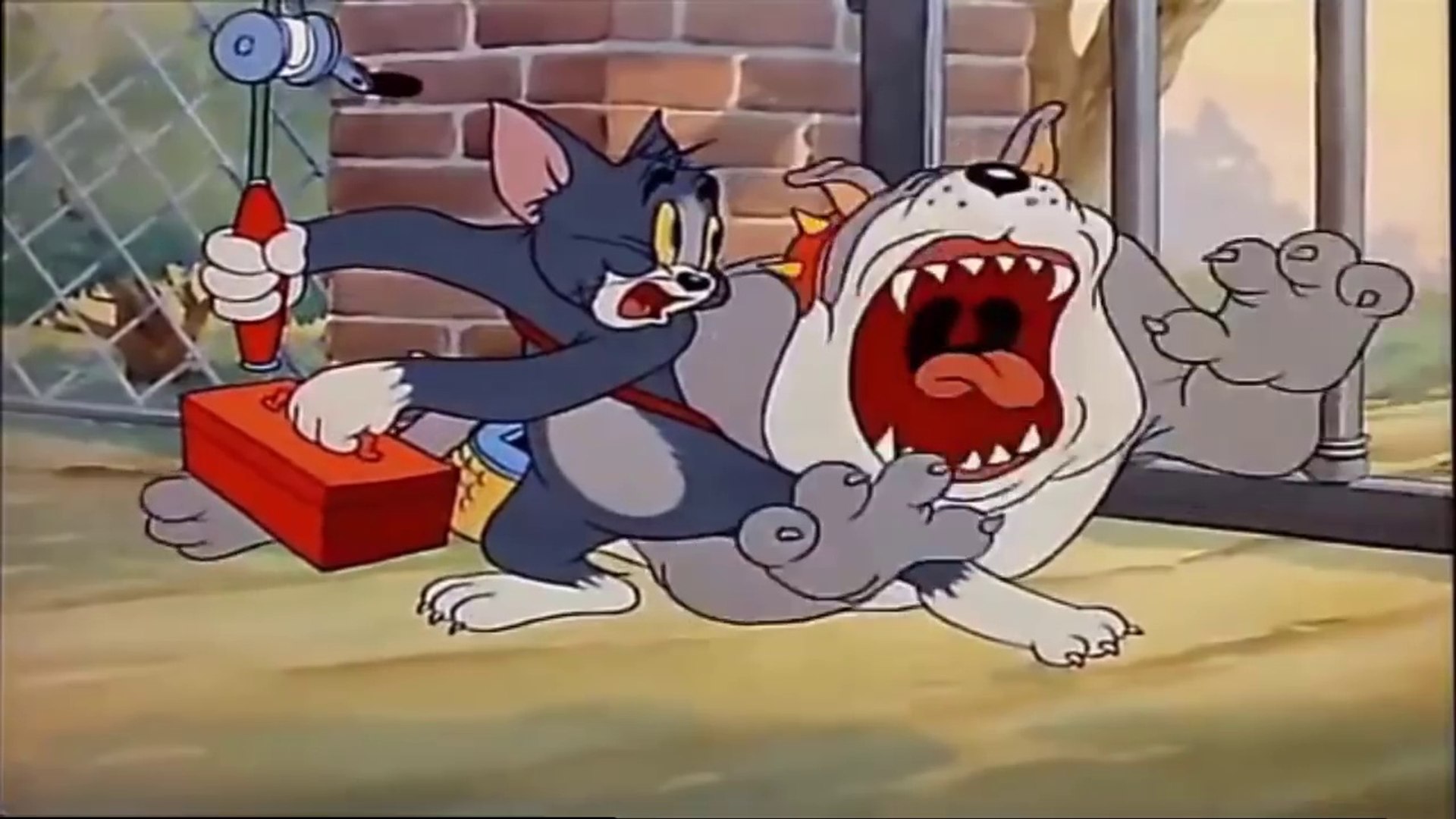 Том и джерри включи. Том и Джерри 1947. Том и Джерри Кошачья рыбалка. Том и Джерри 27. Том и Джерри 27 серия