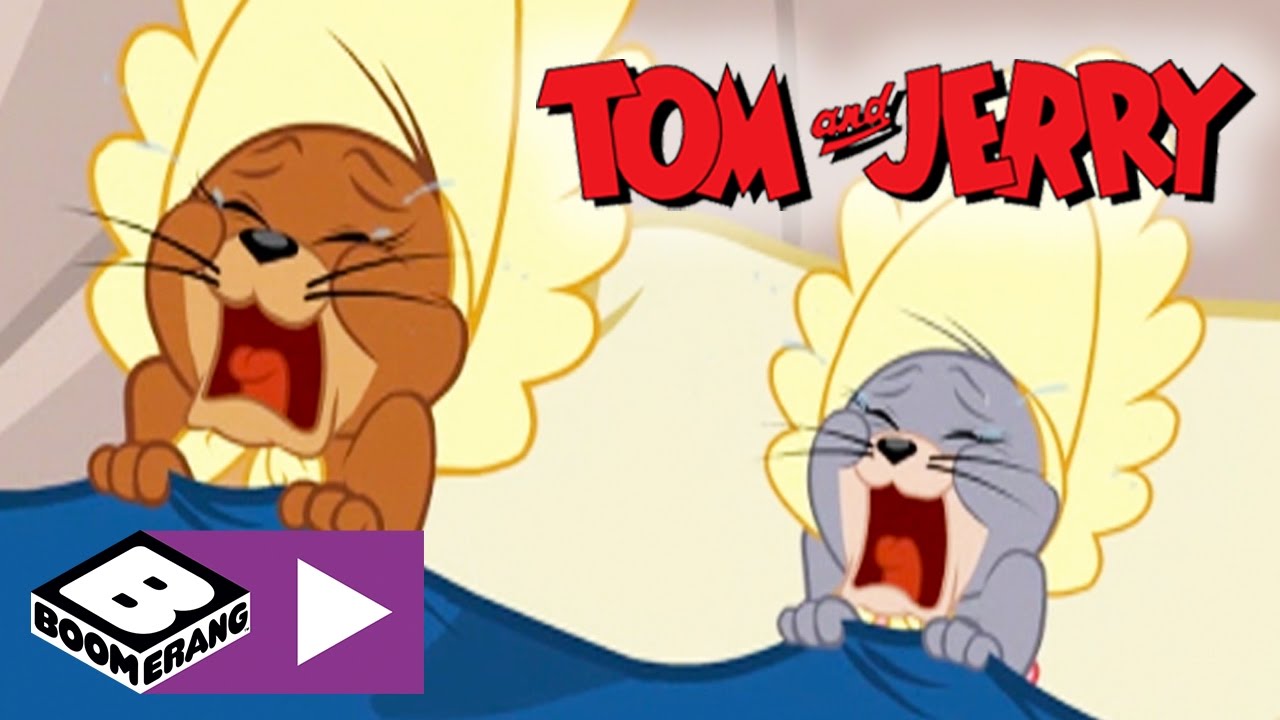 Tom And Jerry Baby Jerry - HD Wallpaper 