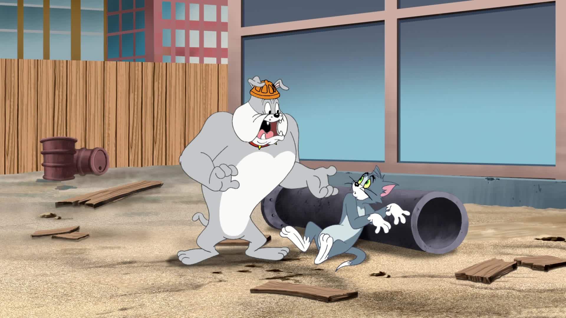 Cartoon - HD Wallpaper 