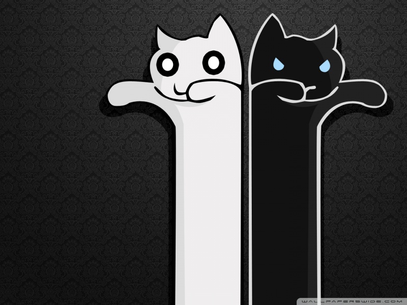 Cat Background Black And Yellow - HD Wallpaper 