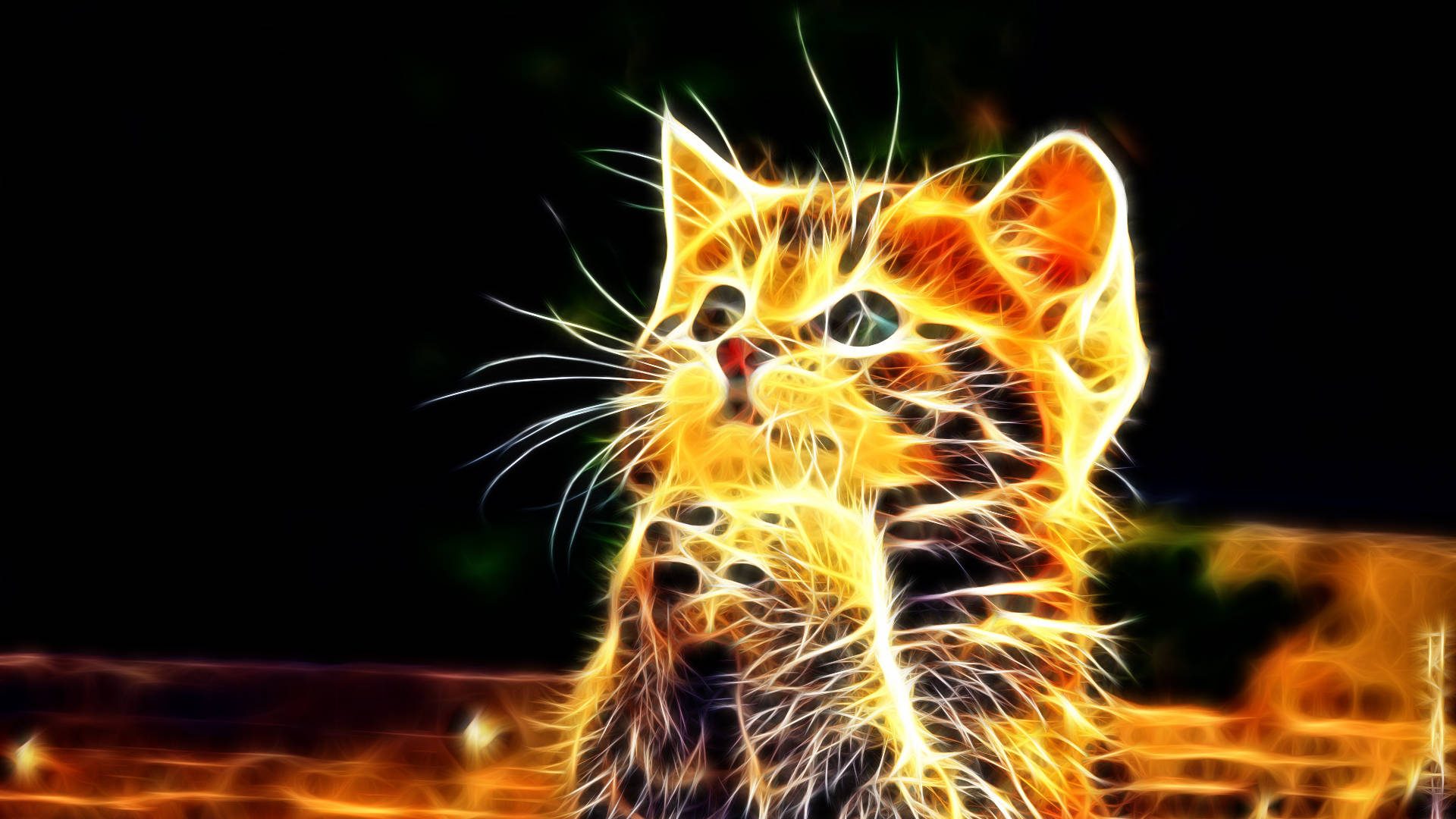 Fondo 3d De Gatos - Animal Backgrounds - HD Wallpaper 