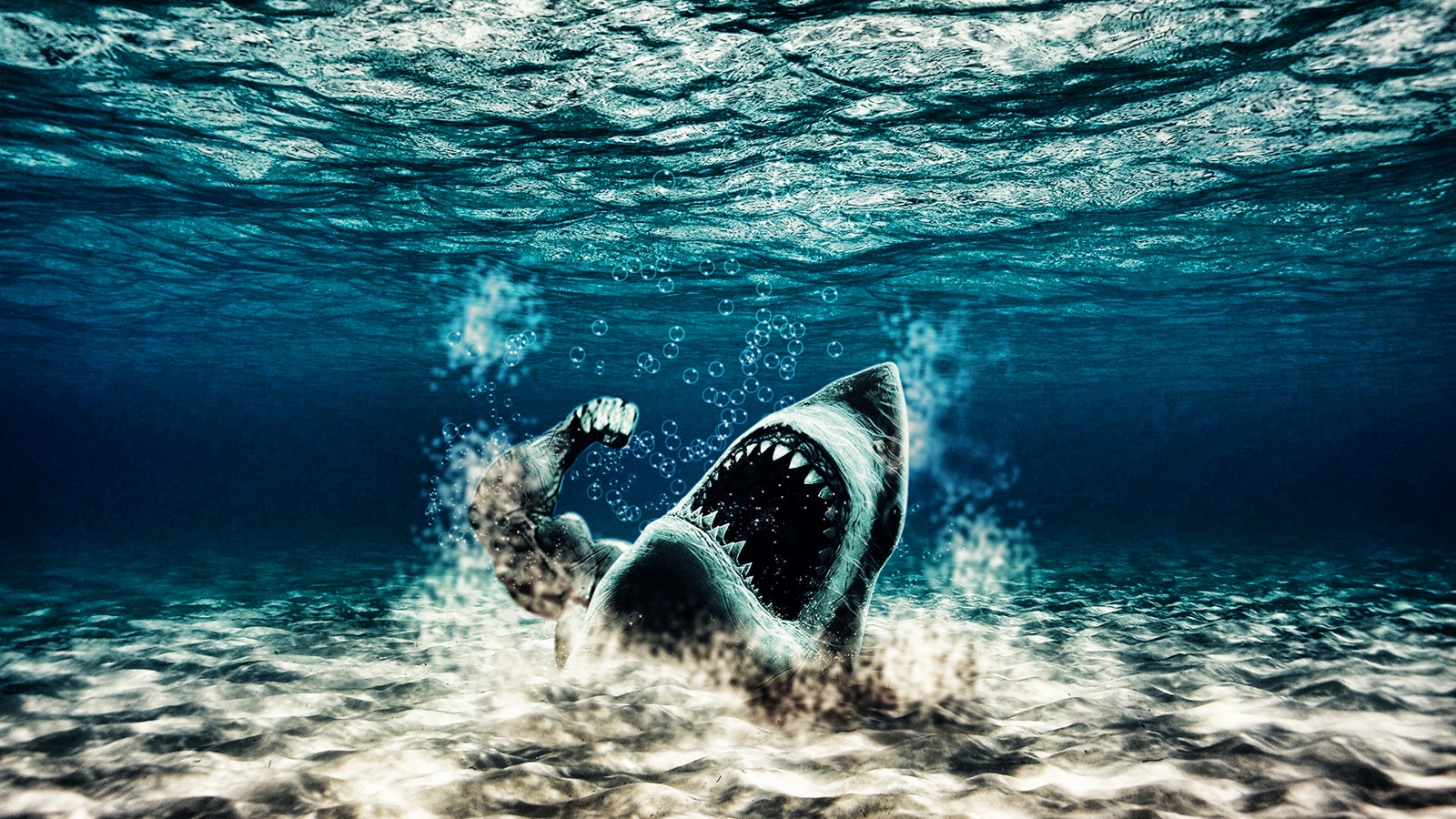 Fantasy Sharks - HD Wallpaper 