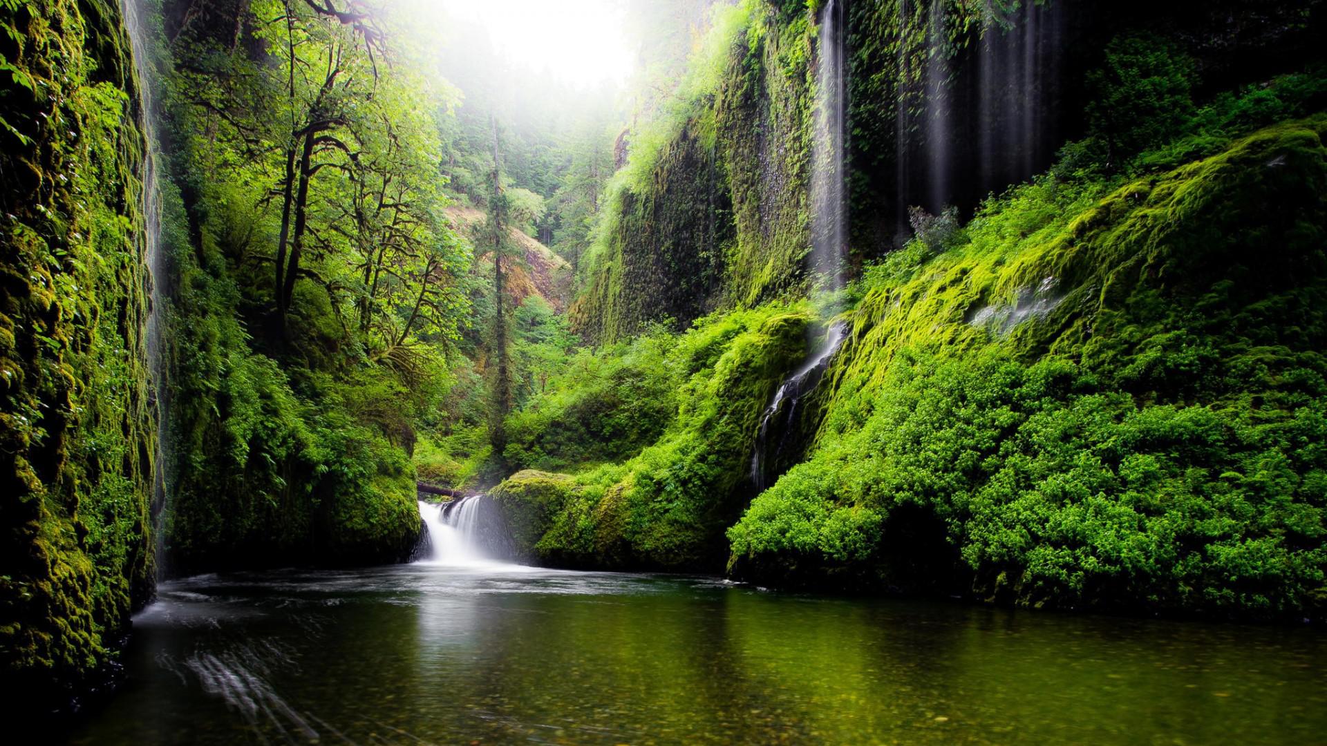 Oregon, River, Water, Waterfalls, Nature, Forest, Woods, - Nature Wallpaper For Pc - HD Wallpaper 