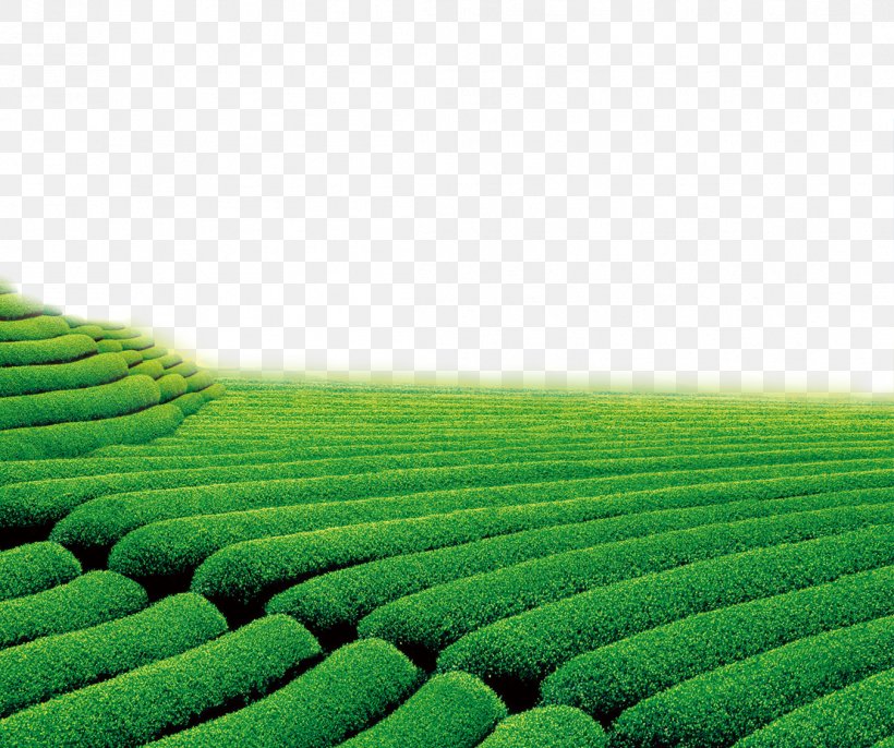 Theatrical Scenery Green Television Wallpaper, Png, - Sceneries Png - HD Wallpaper 
