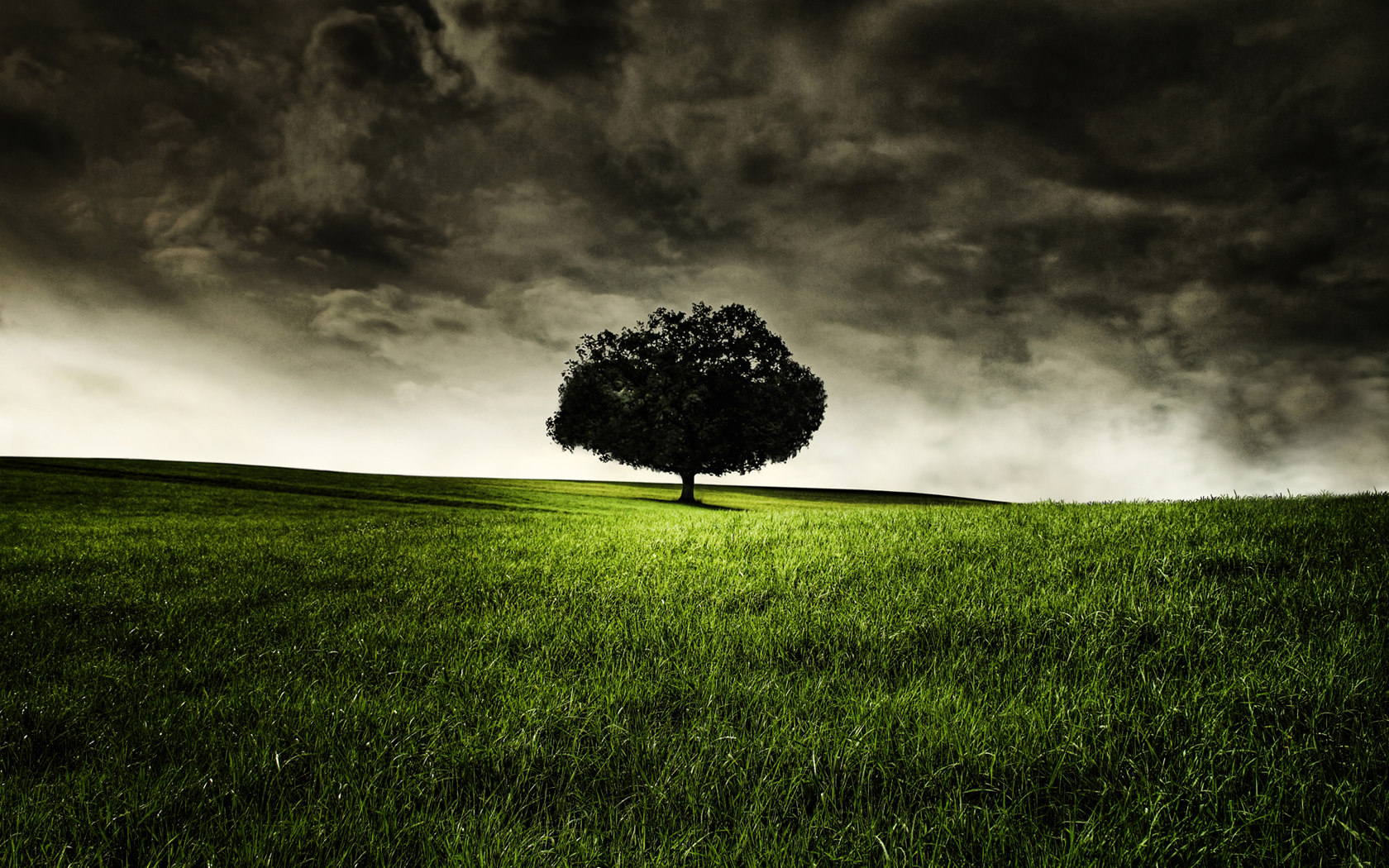 Dark Prairie Wallpaper - Tree In A Storm - HD Wallpaper 