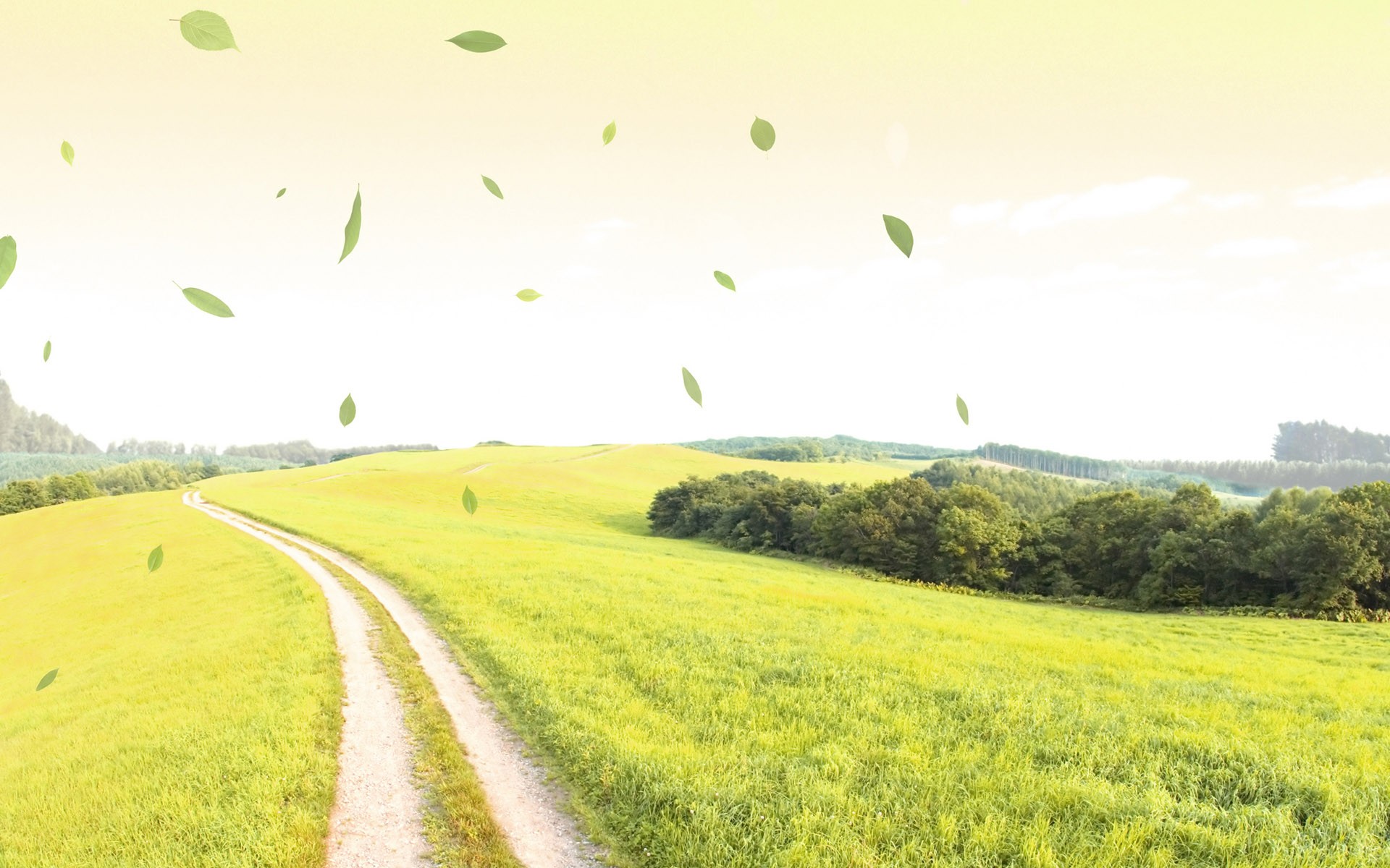 Nature Scenery - HD Wallpaper 