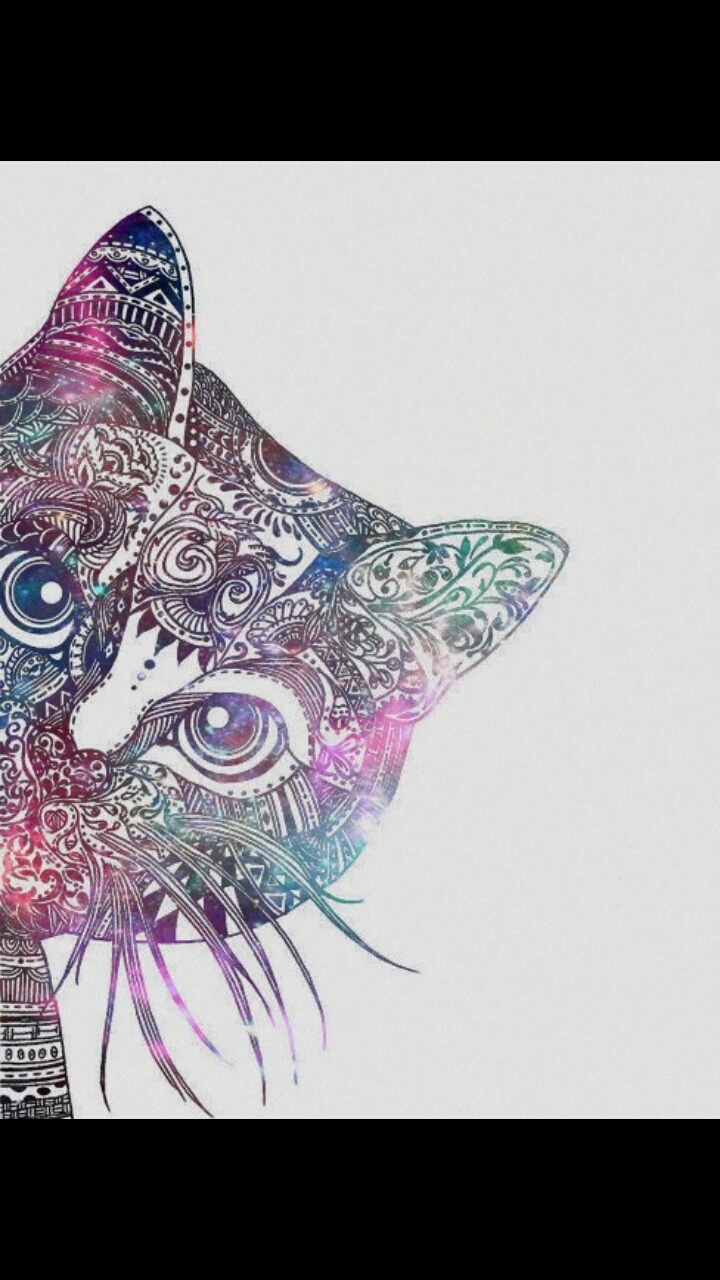 Fondos And Pantalla Gatos Wallpaper - We Heart It Cat - HD Wallpaper 