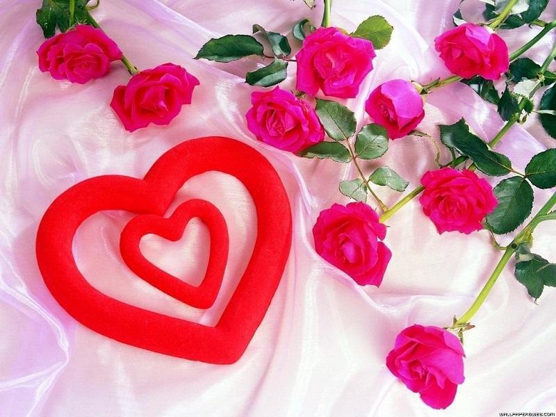 Sweet Love Wallpaper Download - New Flower Photo Download - 800x600  Wallpaper 