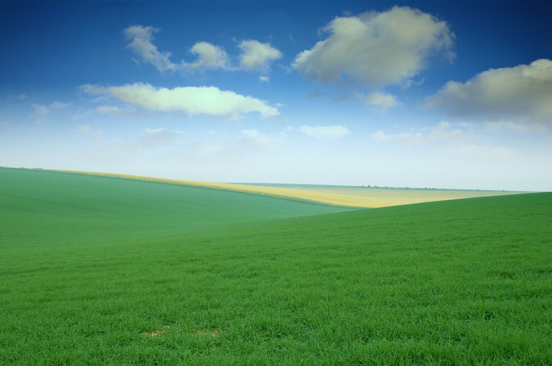 Green Field Windows 7 Scenery Wallpaper - Field With No Trees - HD Wallpaper 