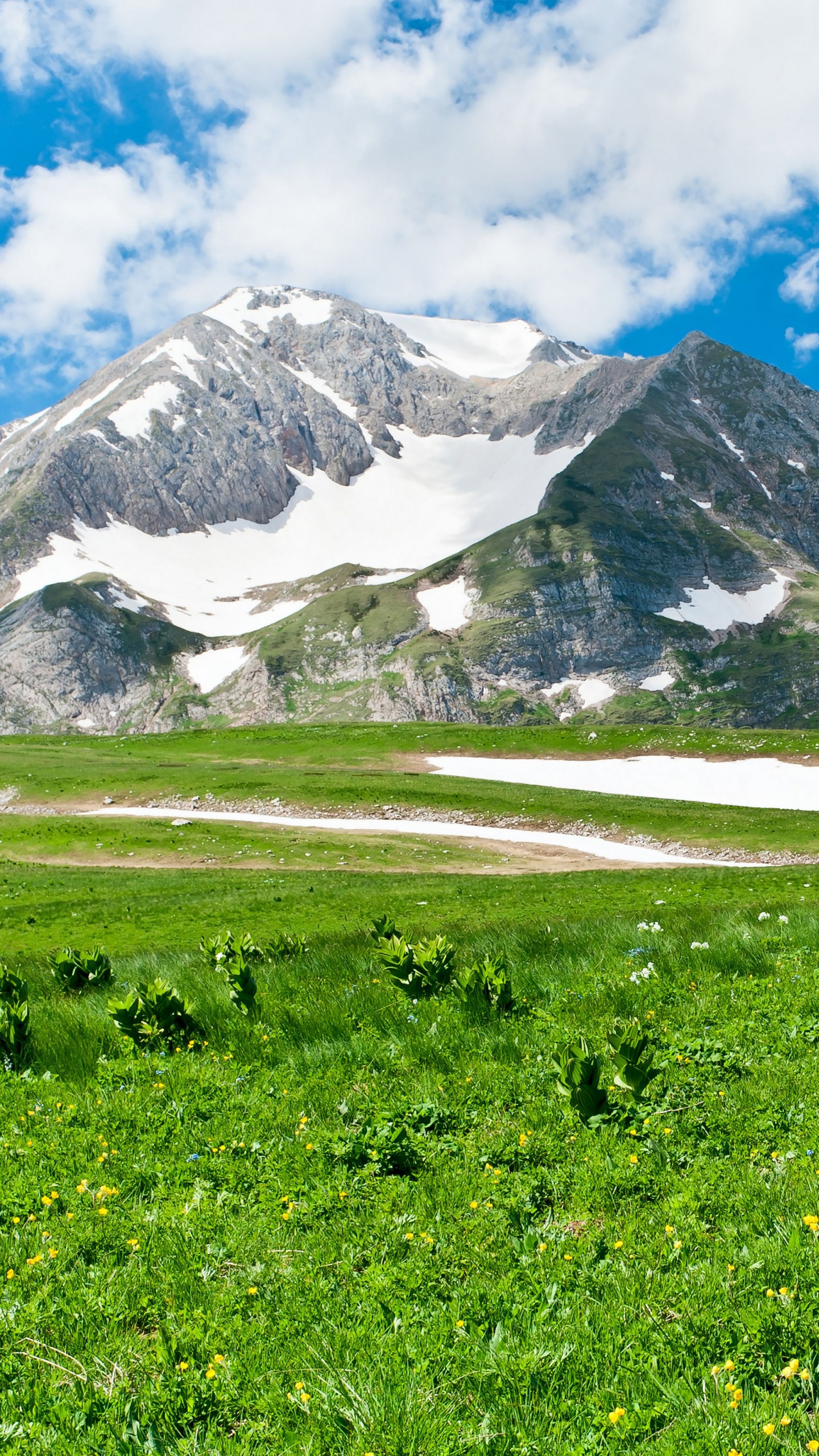 Early Spring Landscapes Hd - HD Wallpaper 