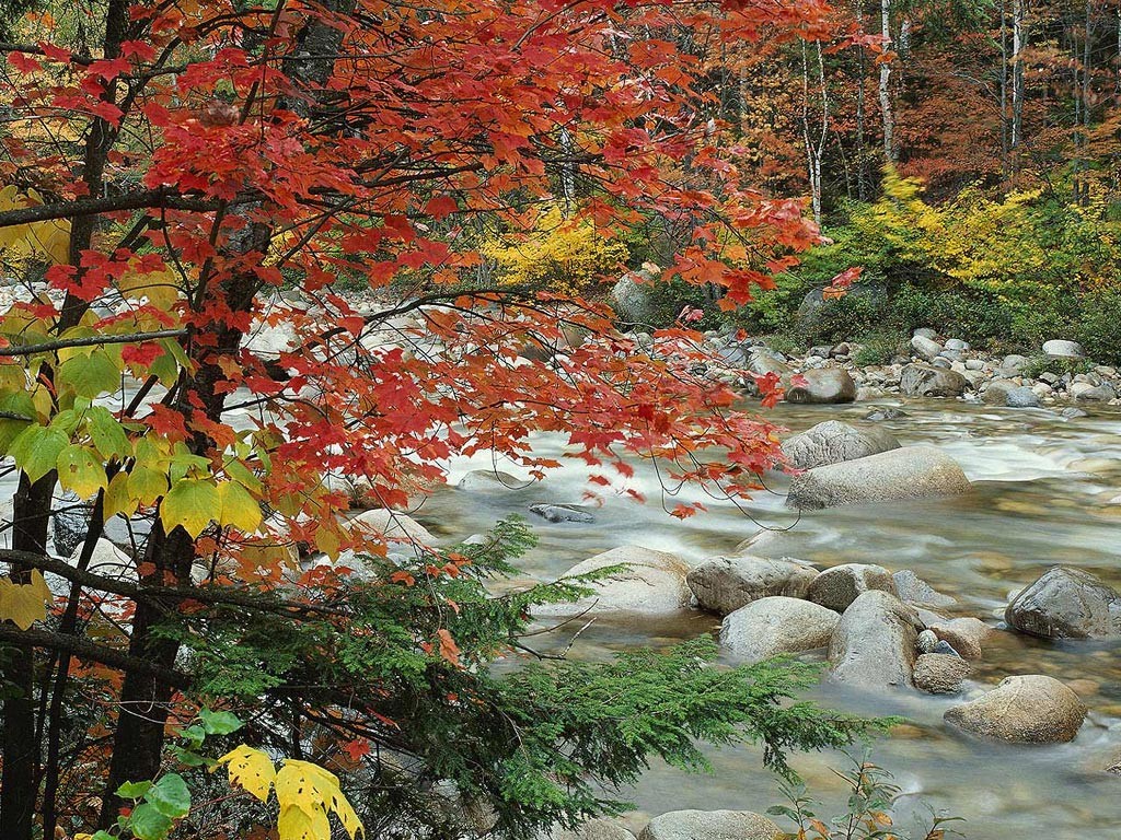 Stream Horizontal - HD Wallpaper 