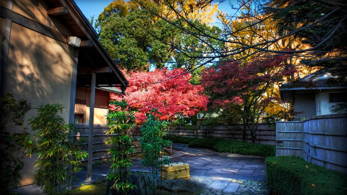 Momiji Behind Tea House-japanese Landscape Wallpaper2012 - Wallpaper - HD Wallpaper 
