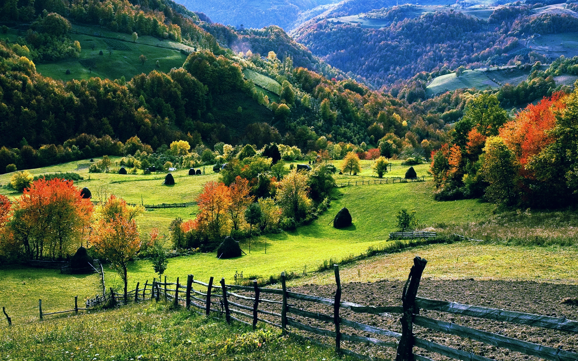 Free Nature Wallpaper - HD Wallpaper 