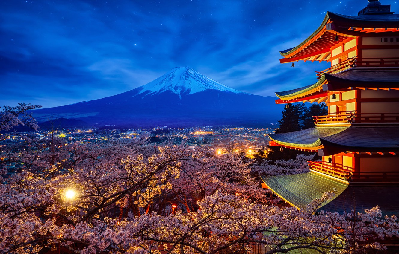 Photo Wallpaper The Sky, Trees, Landscape, Night, Nature, - Mount Fuji By Night - HD Wallpaper 