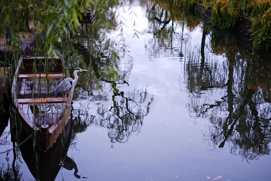 Bird, River, Water, Ocean, Sea, Wabisabi, Japanese, - Reflection - HD Wallpaper 