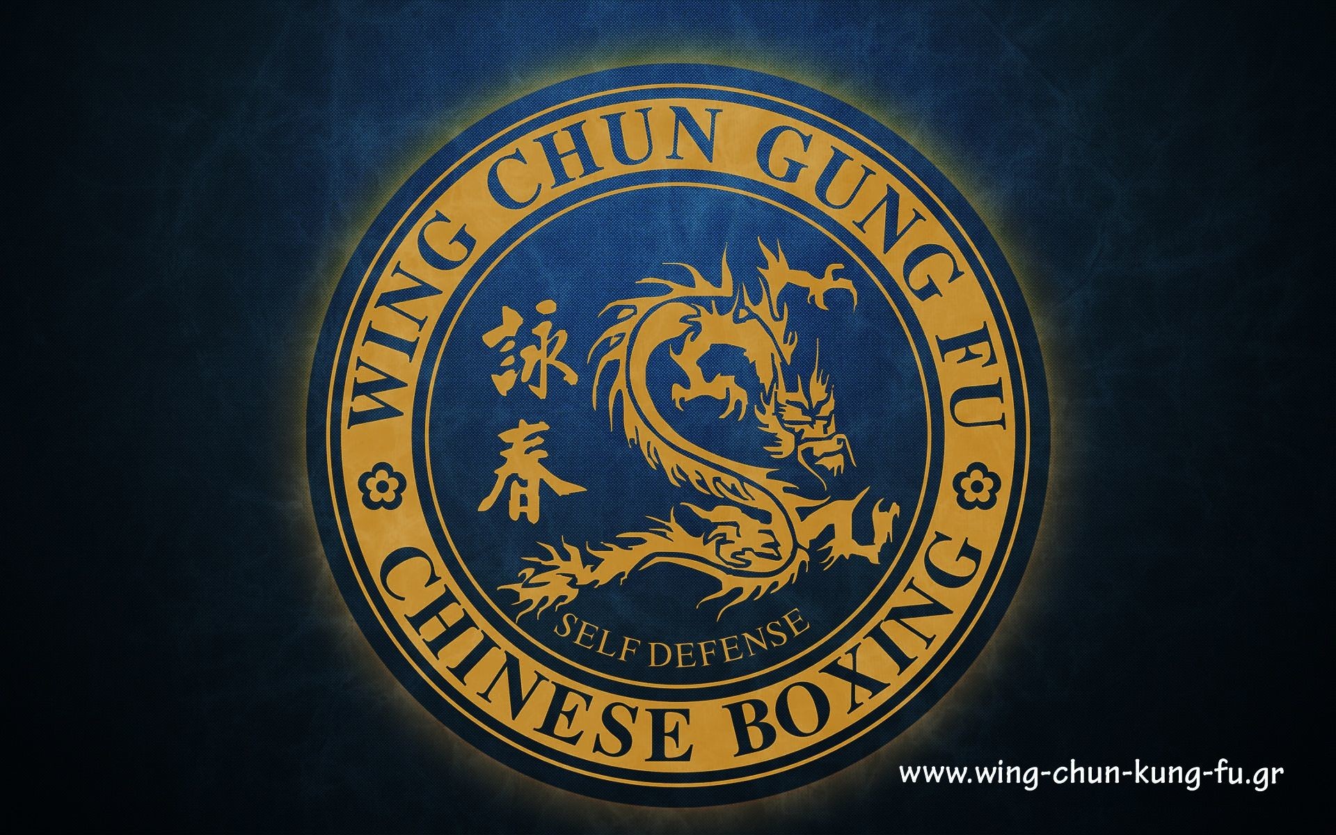 Wing Chun Wallpaper - Wing Chun Wallpaper Hd - HD Wallpaper 