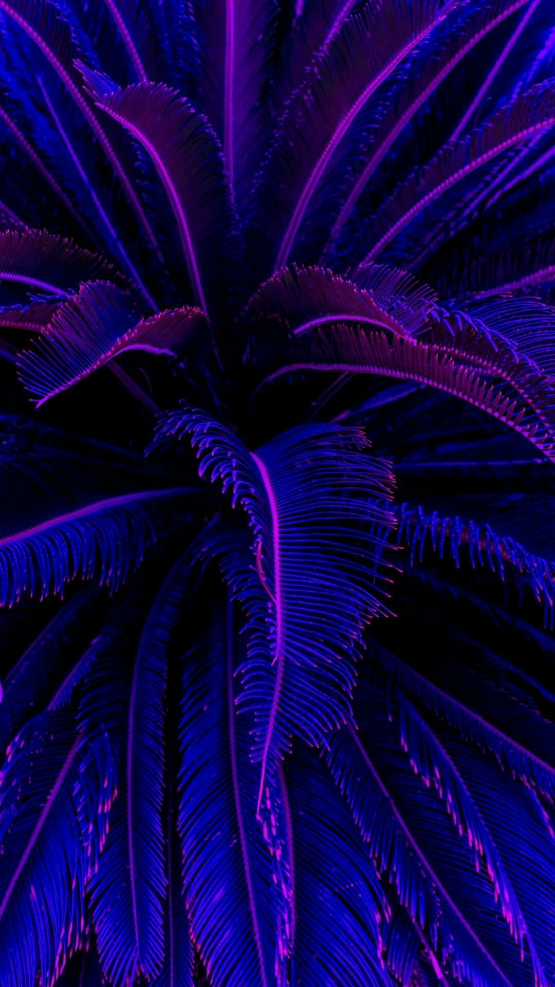 Android, Iphone, Desktop Hd Backgrounds / Wallpapers - Aesthetic Blue And Purple - HD Wallpaper 
