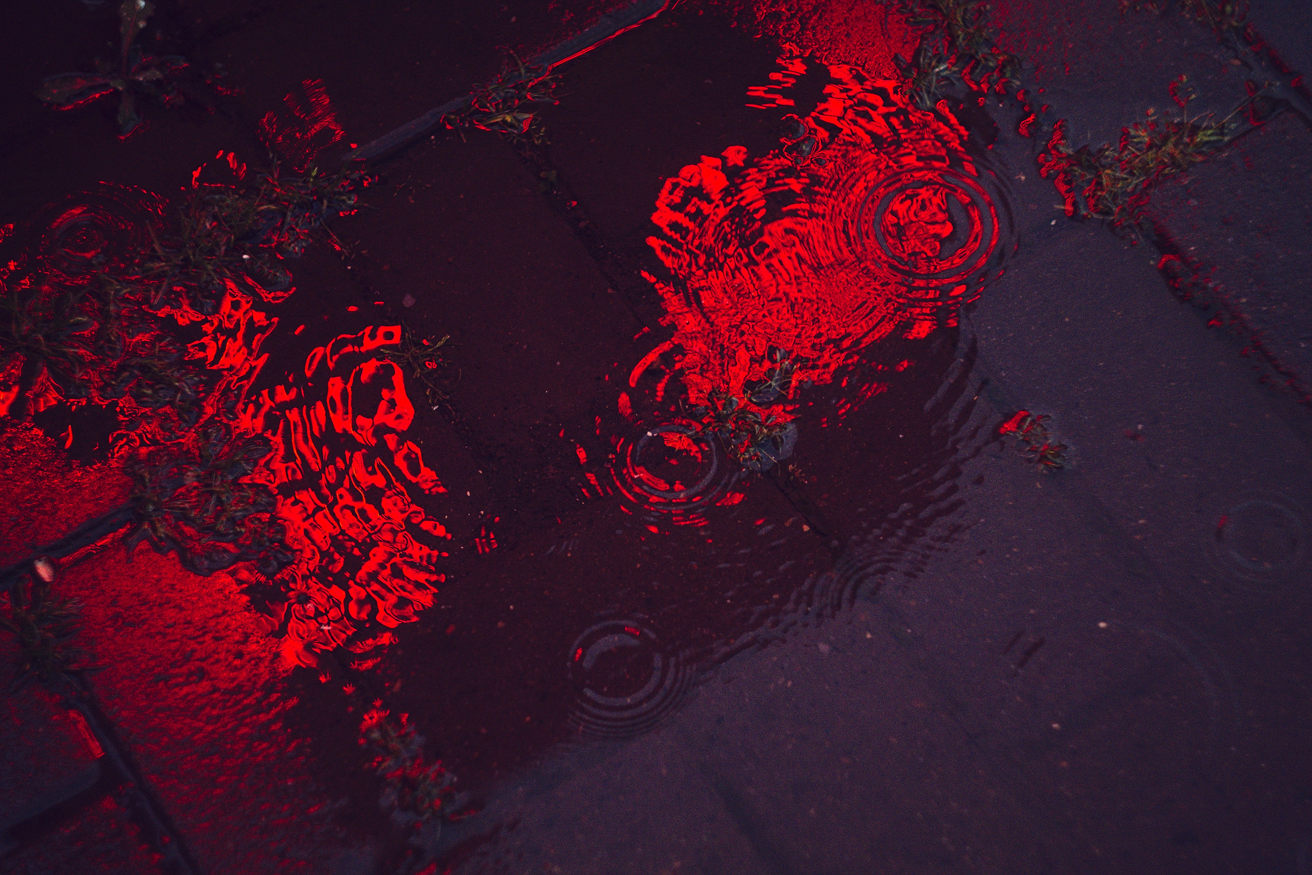 Neon Red Wallpaper - HD Wallpaper 