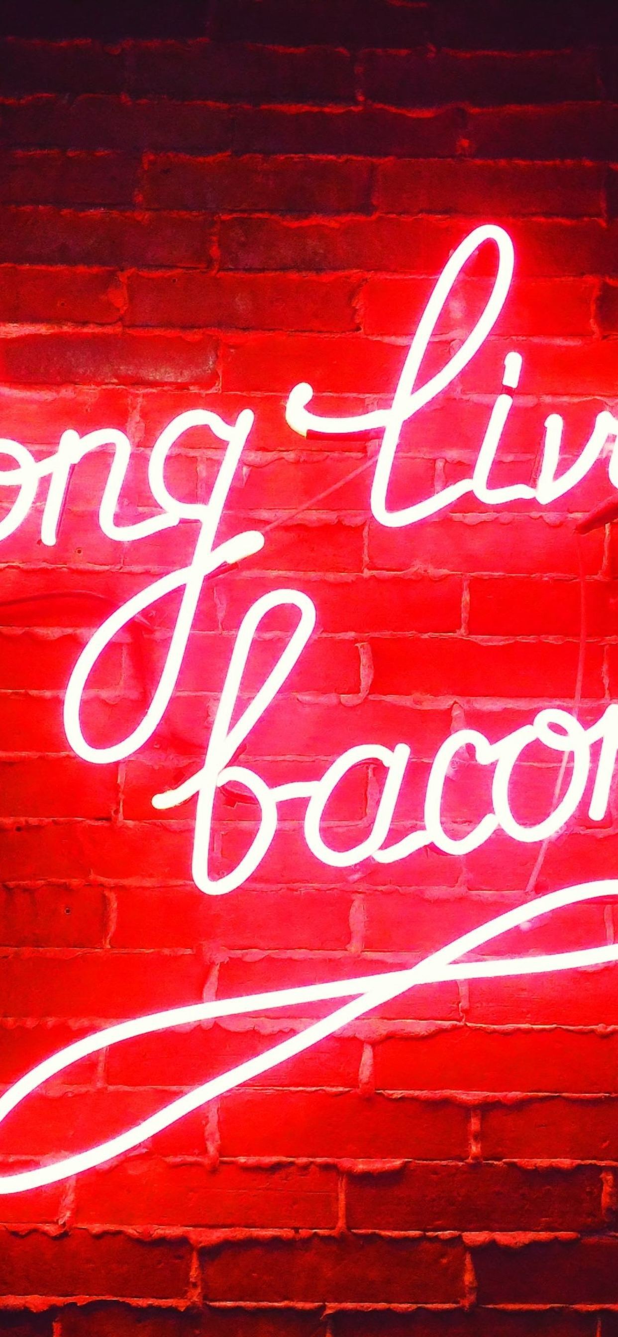 Long Live Bacon Neon Lights S9 Data Src Neon Lights - Neon Live Wallpaper 4k Iphone - 1242x2688 Wallpaper Long Live Bacon Neon Lights S9 Data Src Neon Lights - Neon Live Wallpaper 4k Iphone - 1242x2688 Wallpaper