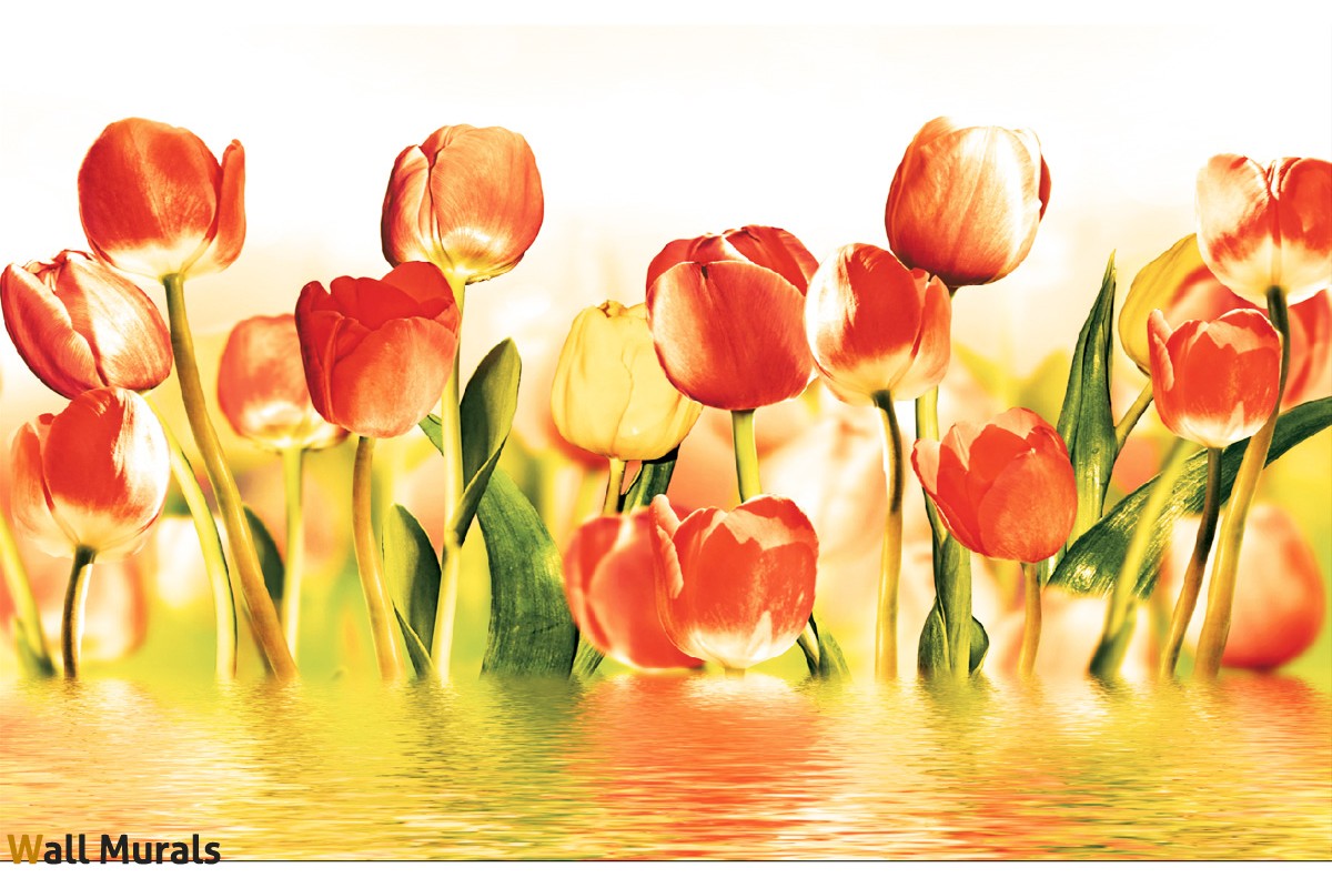 Фототапети За Спалня В Оранжево - HD Wallpaper 