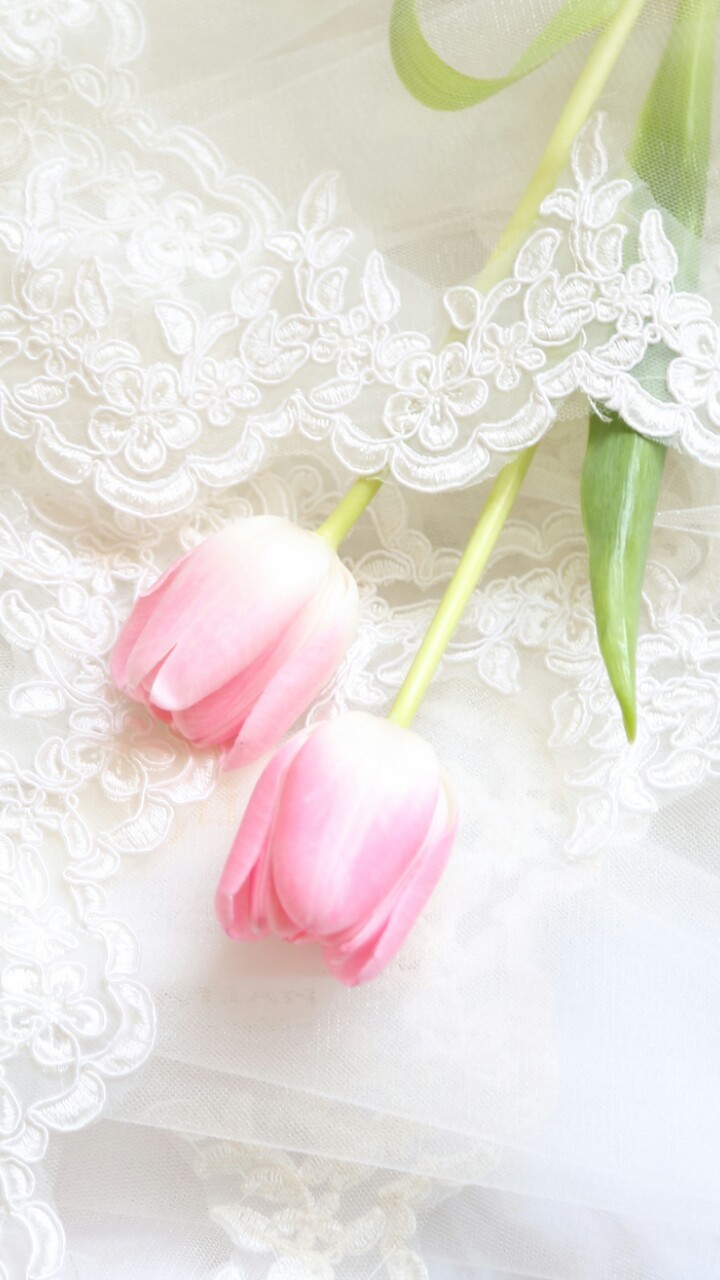 Beautiful And Flowers Image - دعاء يارب بالصور - HD Wallpaper 