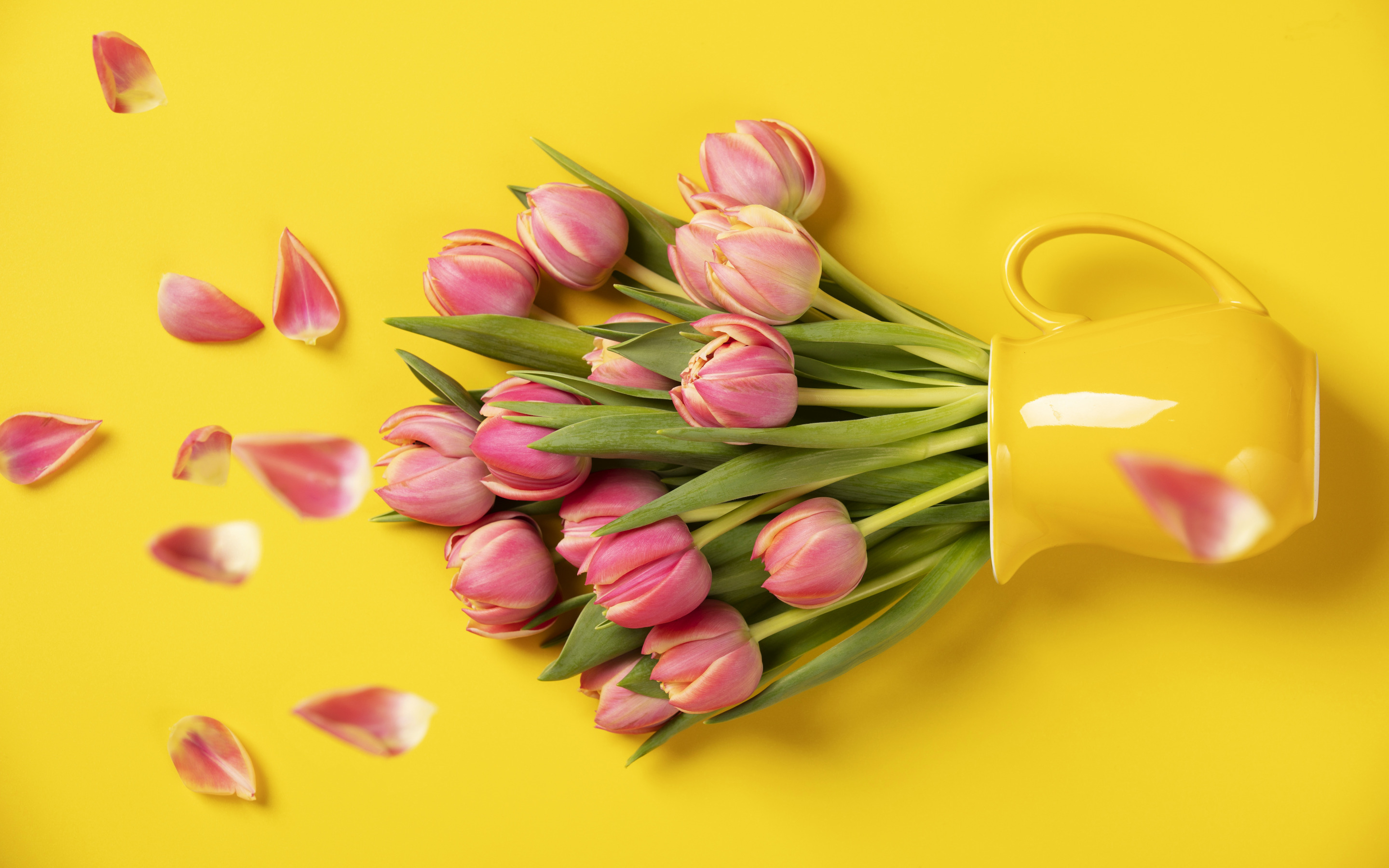Pink Tulips, Yellow Background, Pink Flowers, Tulips, - Yellow Background With Flowers - HD Wallpaper 