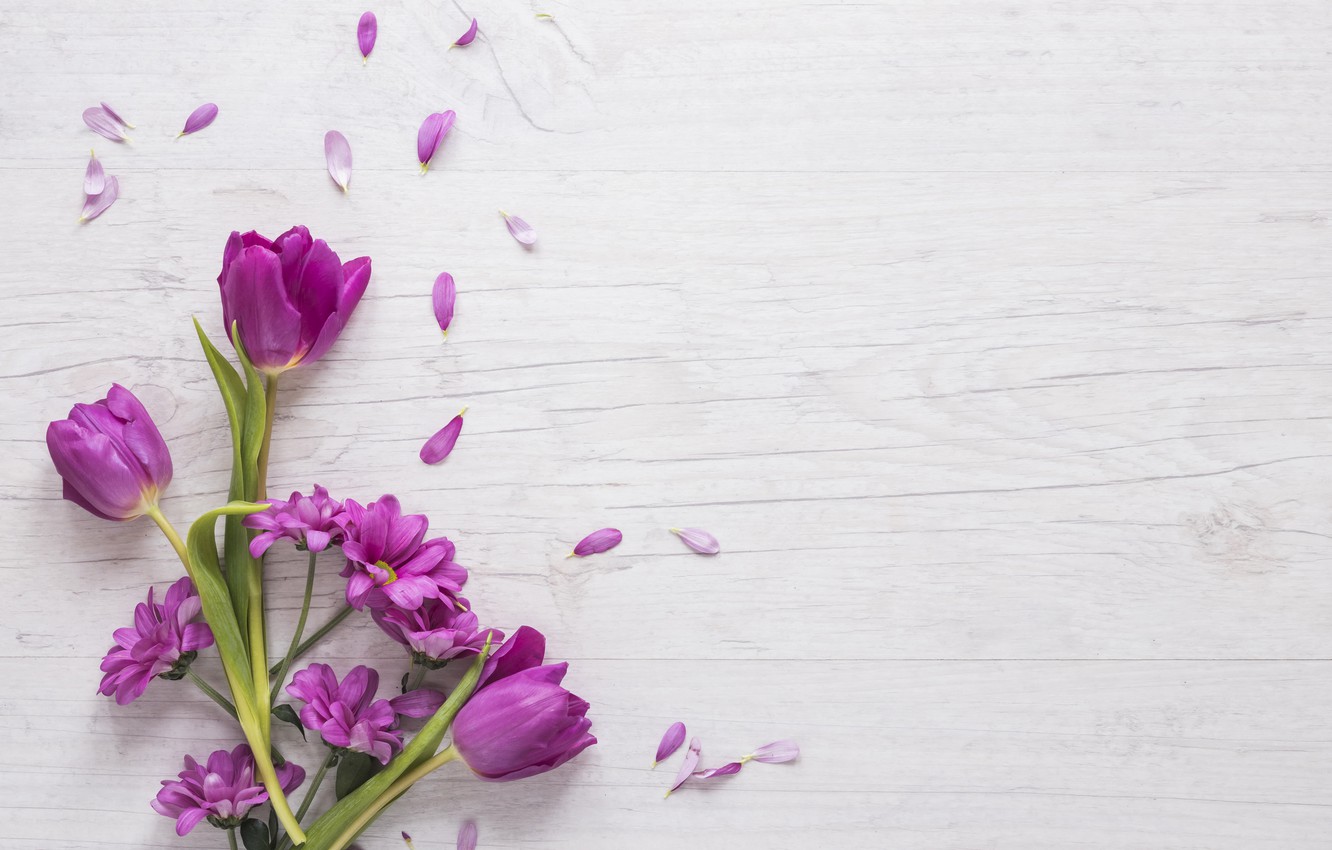 Photo Wallpaper Flowers, Purple, Tulips, Flowers, Beautiful, - Flowers On The Table - HD Wallpaper 