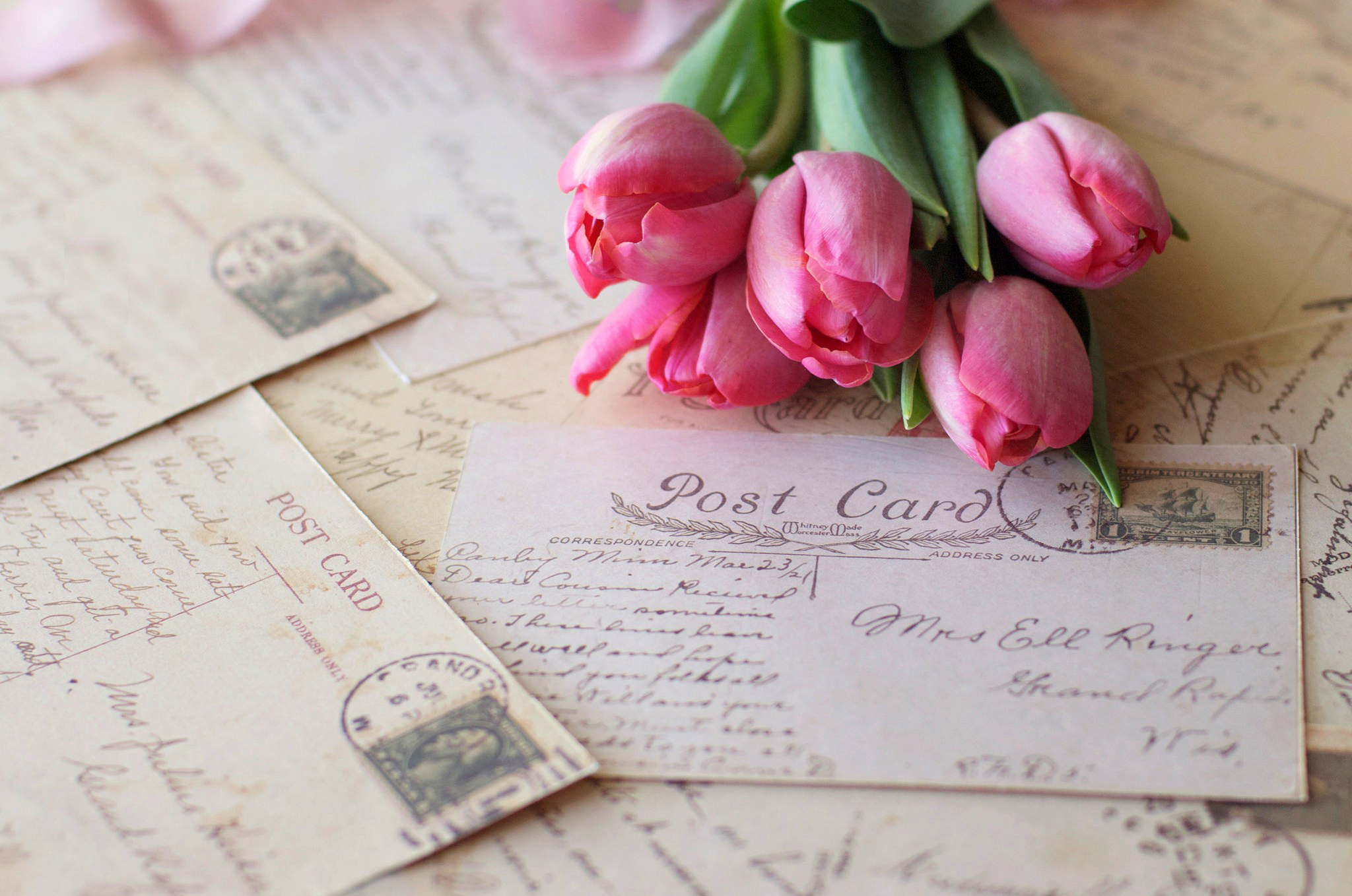 Featured image of post View 25 Vintage Tulips Wallpaper