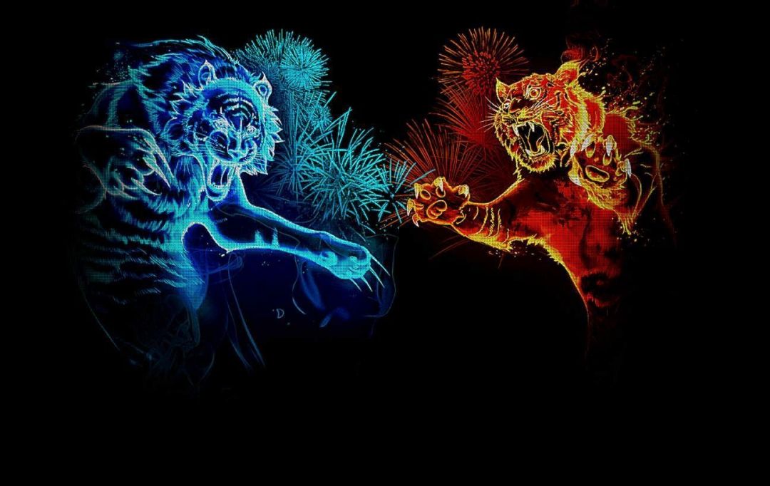 Neon Animal Abstract - 1080x682 Wallpaper Neon Animal Abstract - 1080x682 Wallpaper