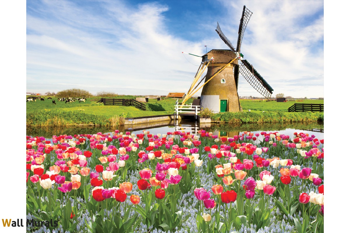 Tulips And Windmill - HD Wallpaper 