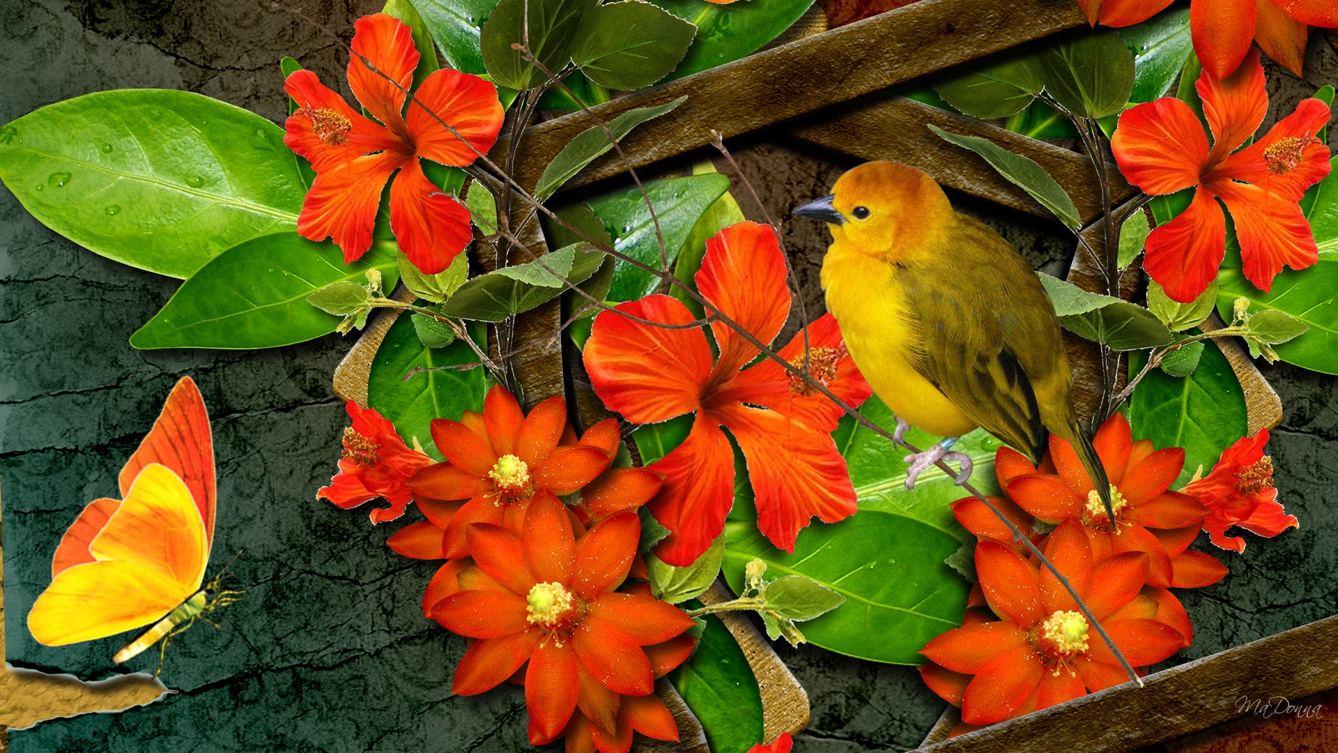 Flowers Birds And Butterflies - HD Wallpaper 