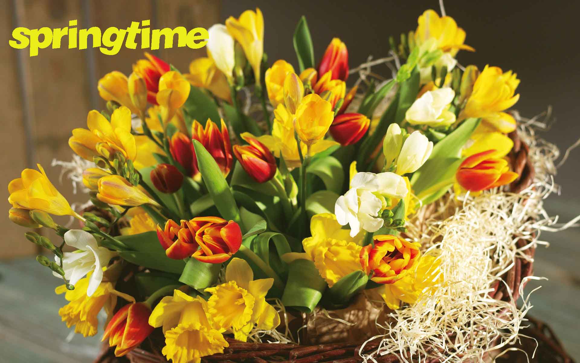 Днем Рождения Италия - HD Wallpaper 