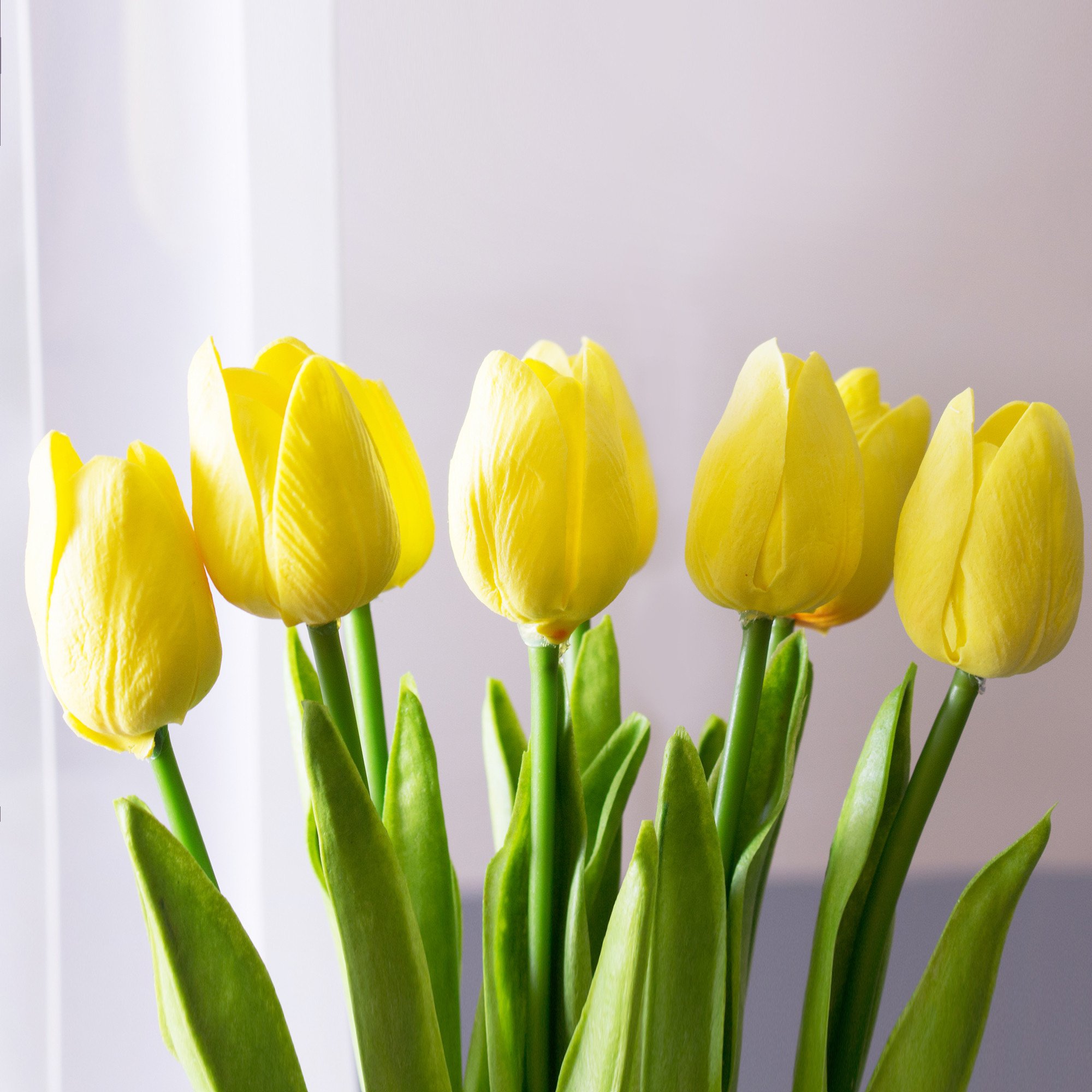 Nice Yellow Tulip - Yellow Tulip Flowers - HD Wallpaper 