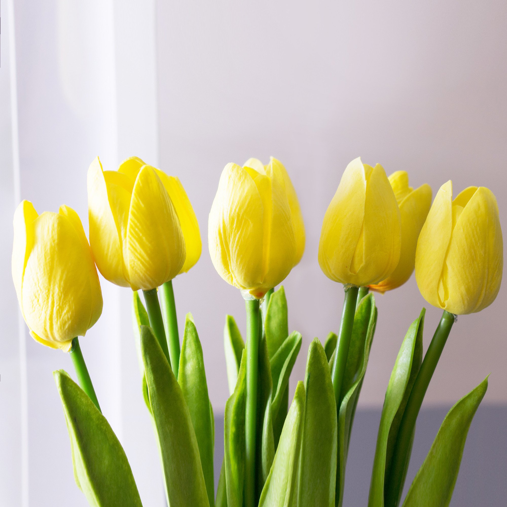 Nice Yellow Tulip - Yellow Tulip Flowers - HD Wallpaper 