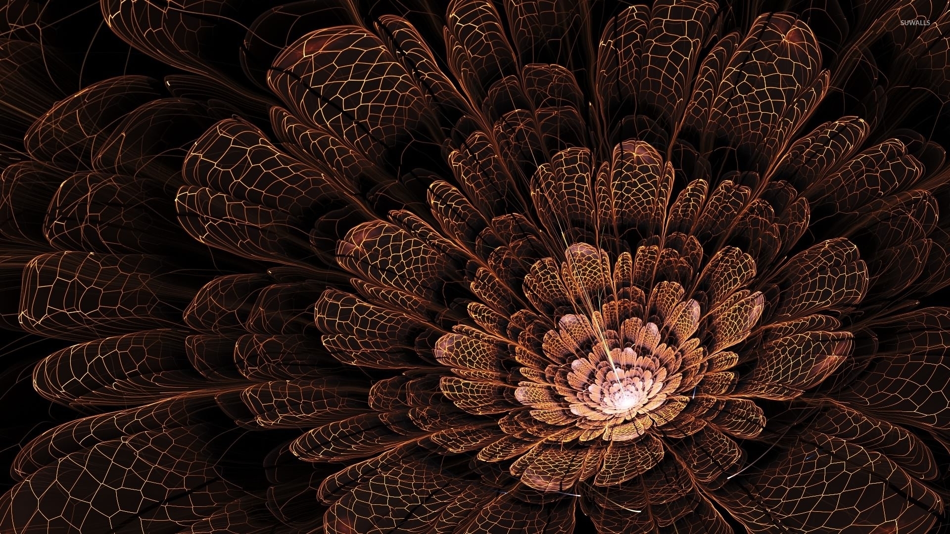 Fractal Flowers - HD Wallpaper 