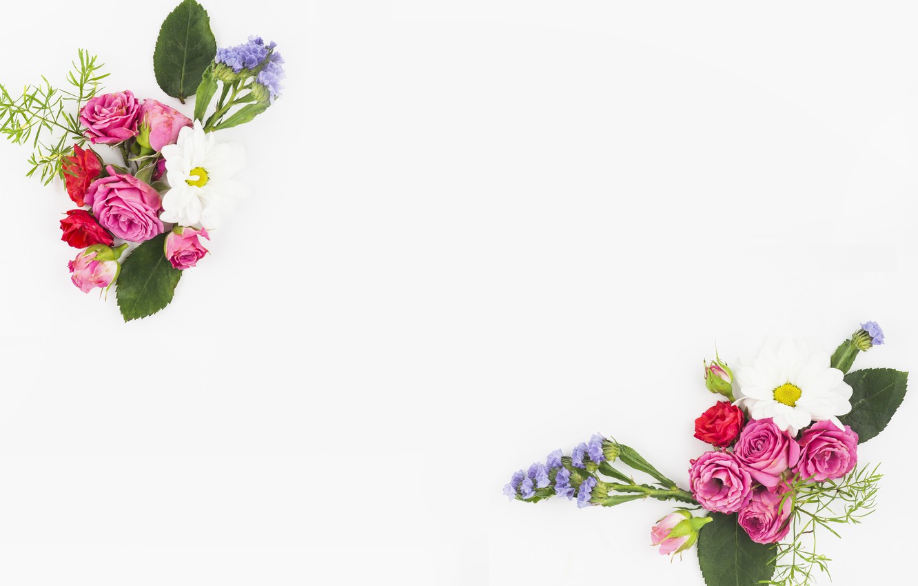 Photo Wallpaper White, Flowers, Background, Flower, - Pink And White Flowers For Background - HD Wallpaper 