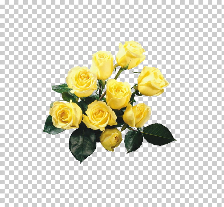 Rose Yellow Flower Png - HD Wallpaper 