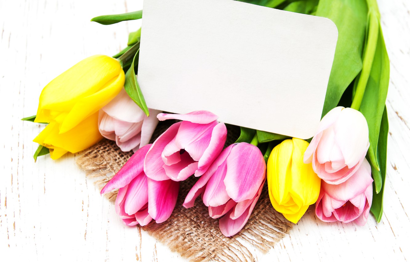 Photo Wallpaper Flowers, Bouquet, Tulips, Pink, Yellow, - Tulip - HD Wallpaper 