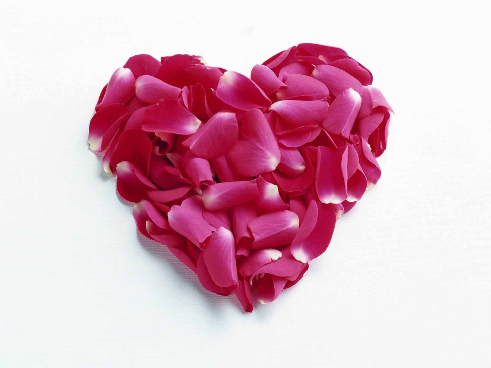 Heart Shape Rose Petal Love Wallpapers In Hd Resolution - Crystal Heart Hd - HD Wallpaper 