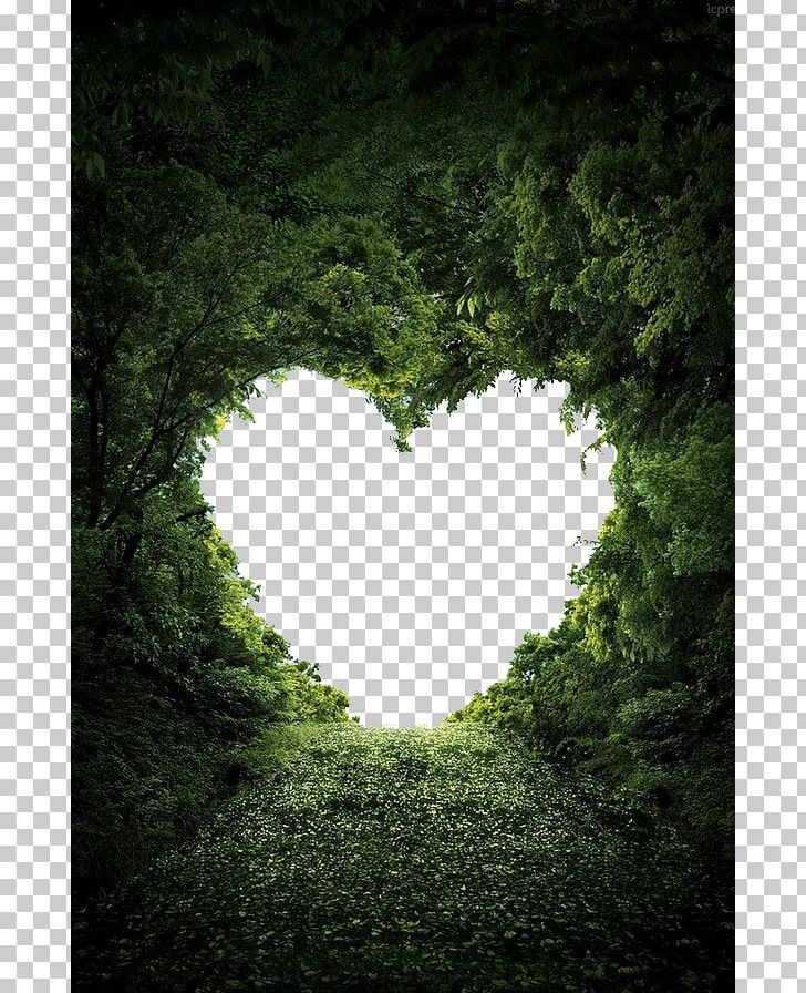 Heart Nature Valentine S Day Love Png, Clipart, Cloud - HD Wallpaper 