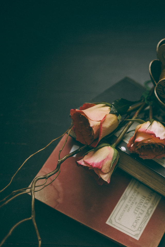 Thread Flower Book - Naam Ke Wallpaper Download - HD Wallpaper 