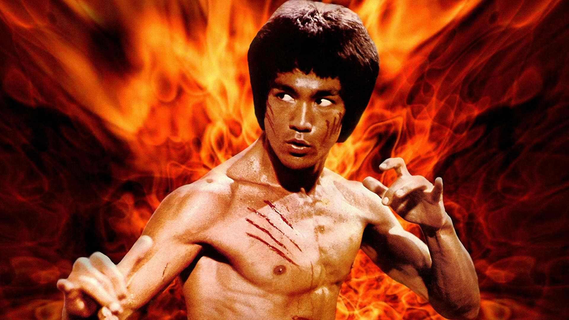Bruce Lee Images Download - HD Wallpaper 