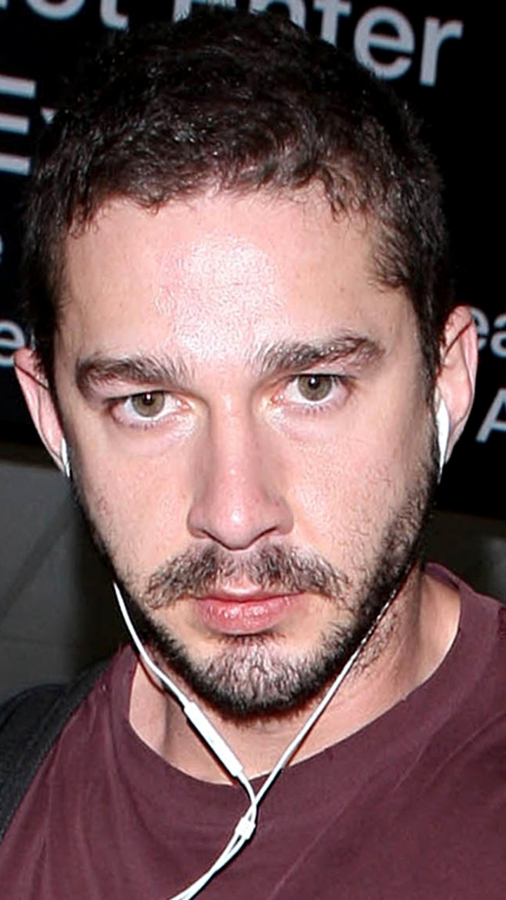Shia Labeouf Meltdown - HD Wallpaper 