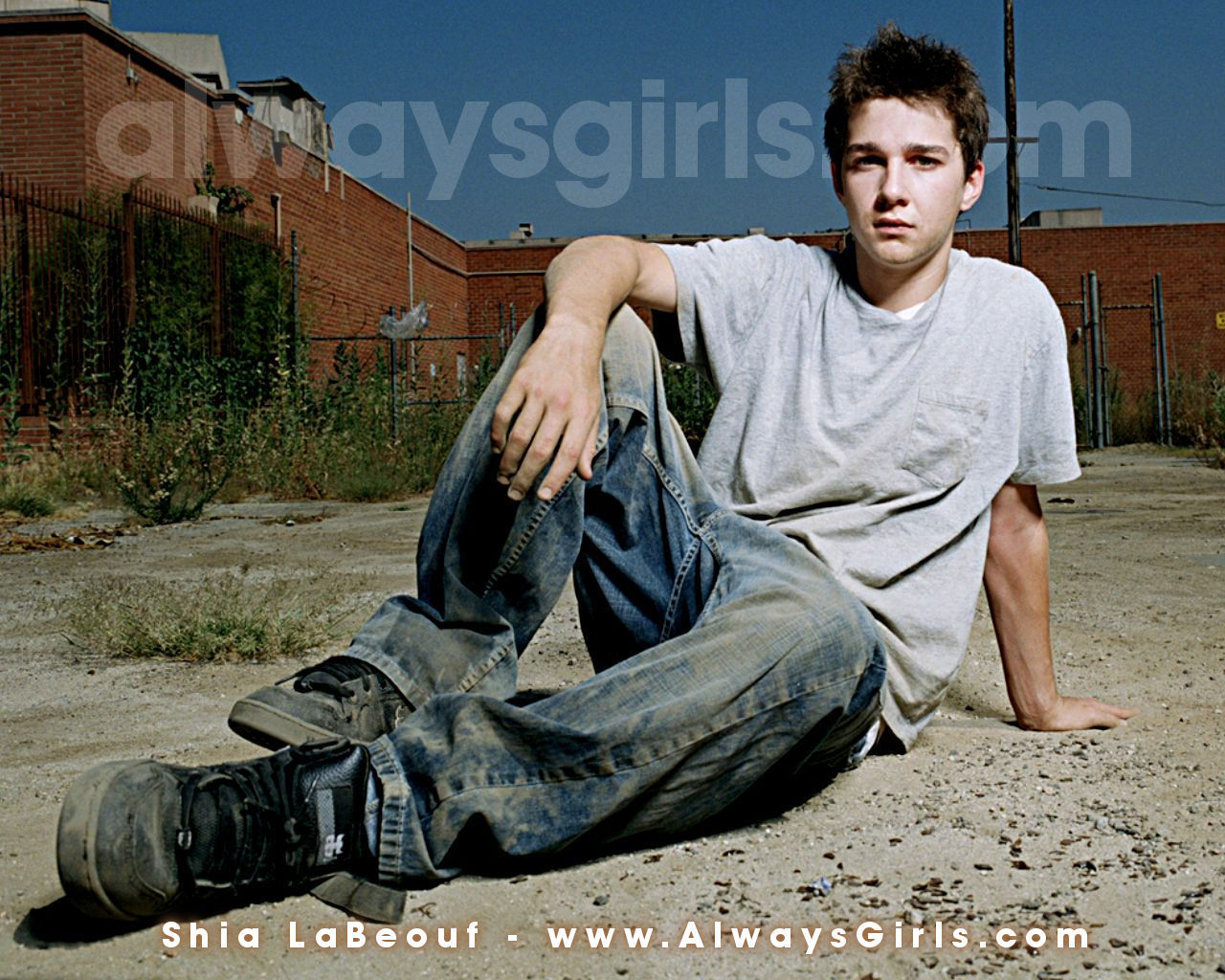 Shia Labeouf - HD Wallpaper 