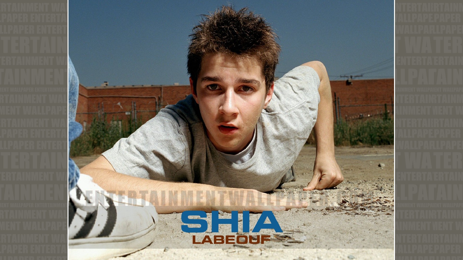 Shia Labeouf - HD Wallpaper 