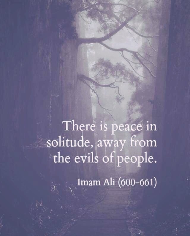 Imam Ali Quotes - HD Wallpaper 