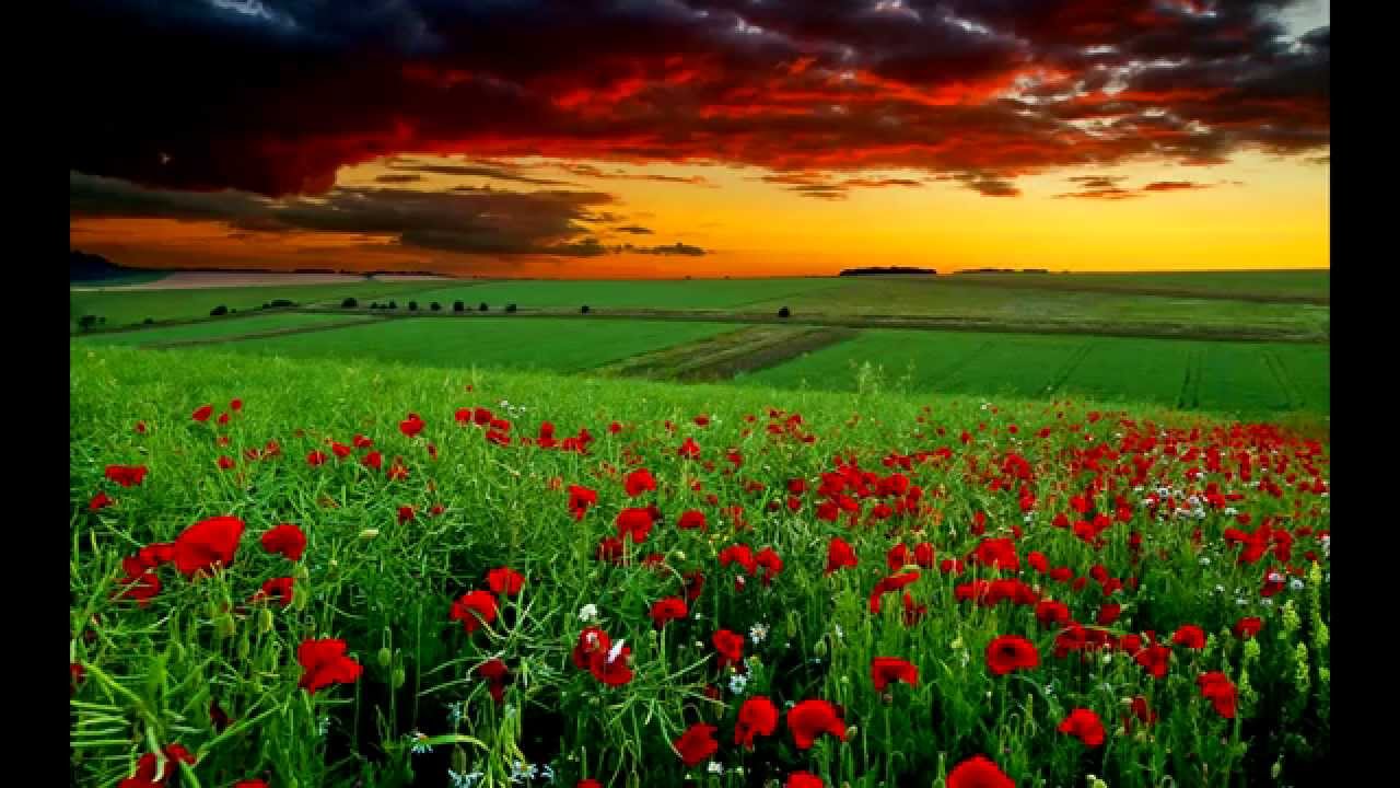 Scenery Wallpapers Hd - HD Wallpaper 