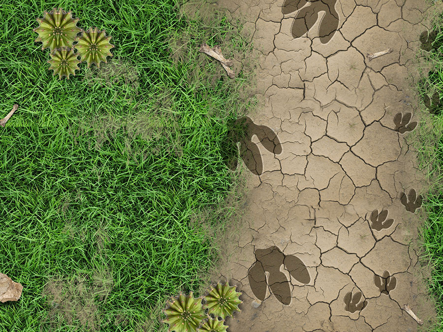 Dinosaur Footprint Wallpaper Mural - Plant Themed Wallpapers Uk - HD Wallpaper 