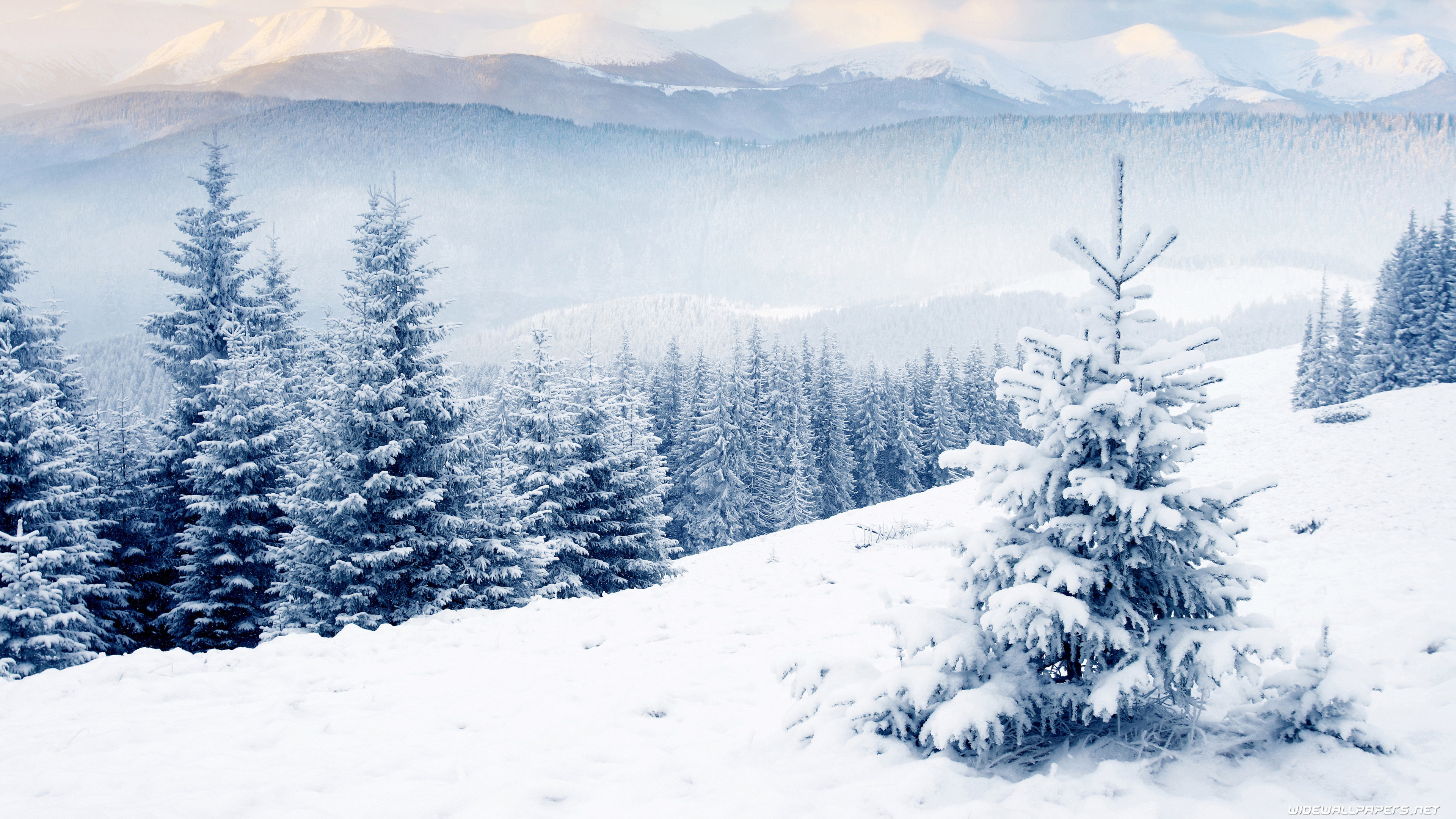 Beautiful Wallpapers - Winter Landscape Desktop Background - HD Wallpaper 